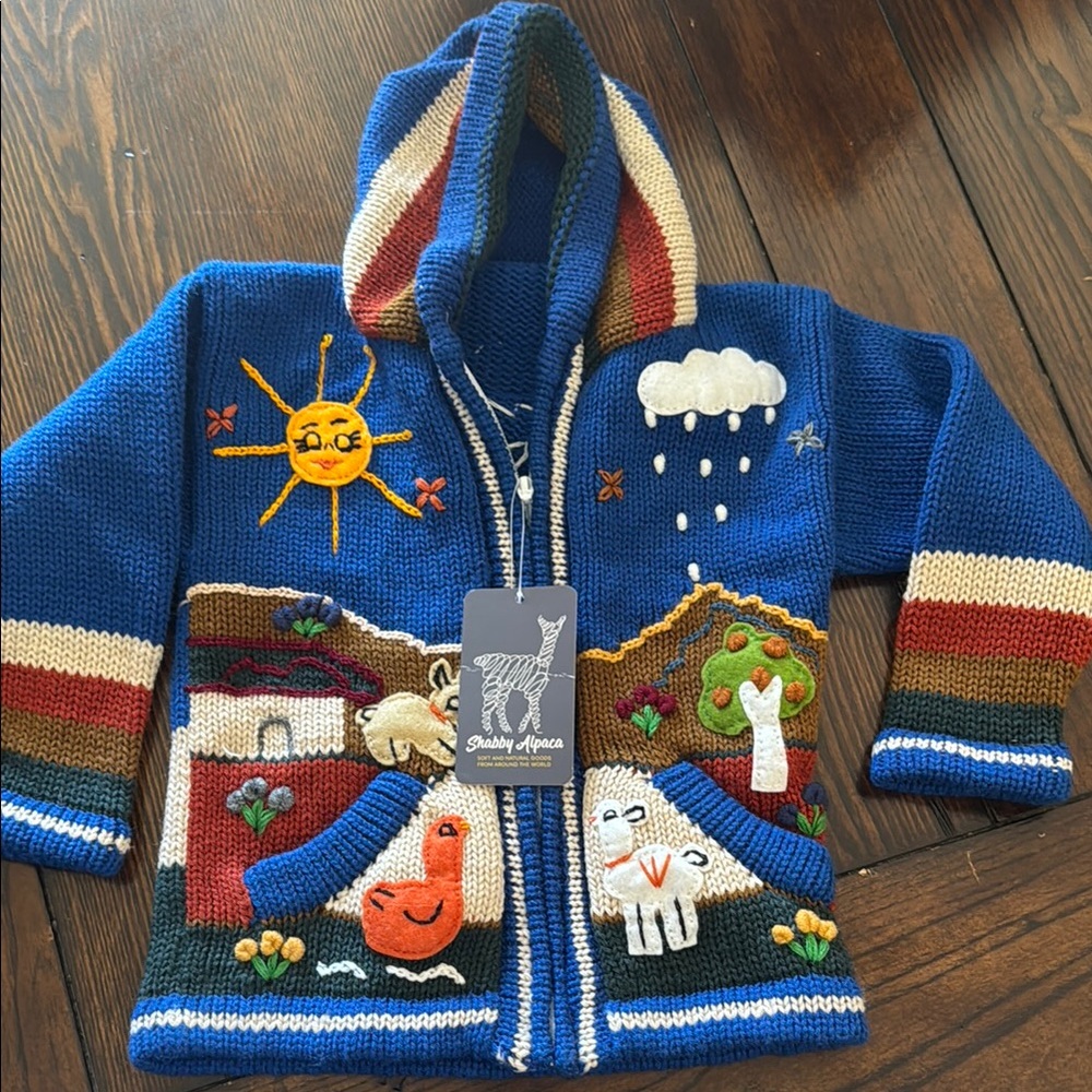 Colorful Shabby Alpaca Knit Hoodie